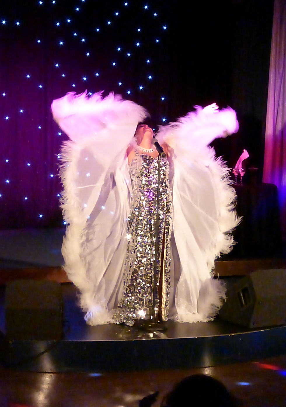 Shirley BAssey Tribute Artiste