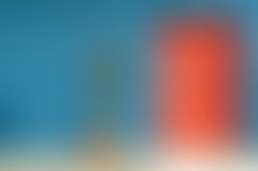 L'ostinazione delle piante da pianerottolo