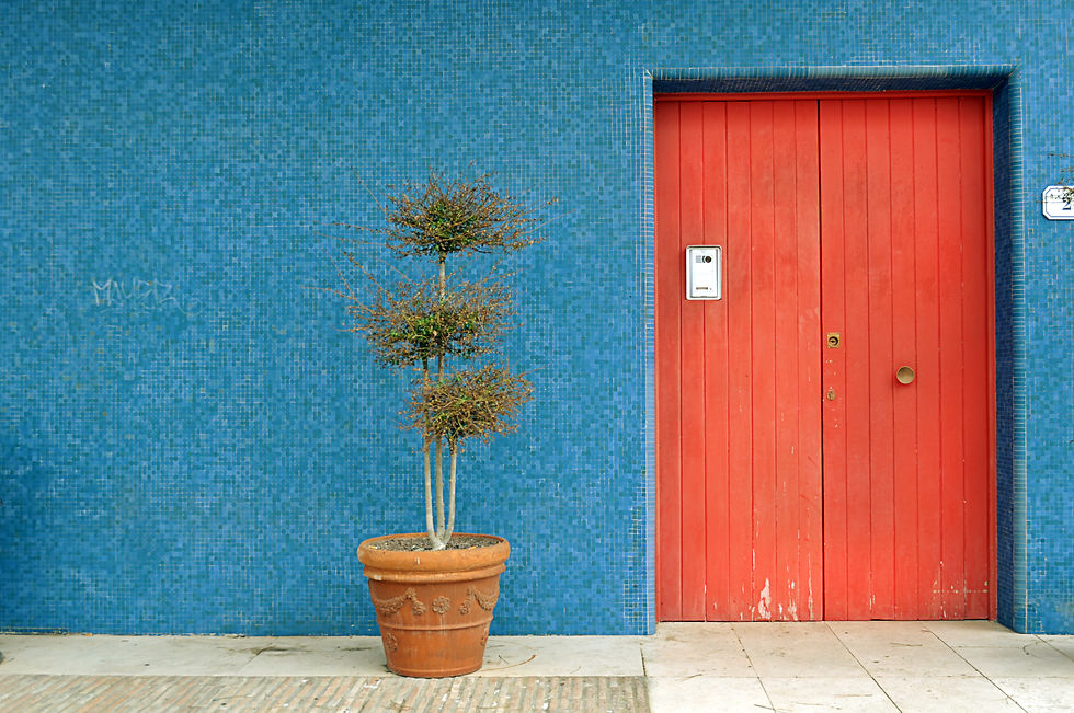 L'ostinazione delle piante