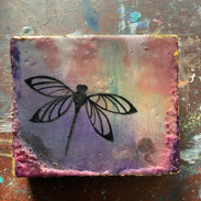 You're So Fly*Dragonfly