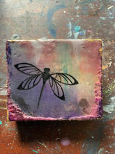 You're So Fly * Dragonfly