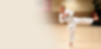 taekwondo-header.jpg