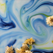 Screenshot 2022-05-25 114927.jpg