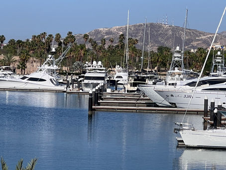 Understanding Marinas: Protecting Boats and Enhancing Coastal Life