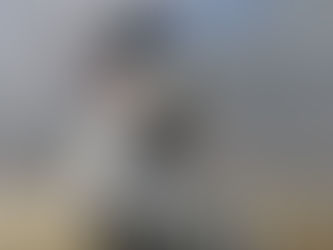 A bird with vibrant feathers and open beak stands on a beach. The sky is cloudy with a hint of blue, creating a dramatic atmosphere.