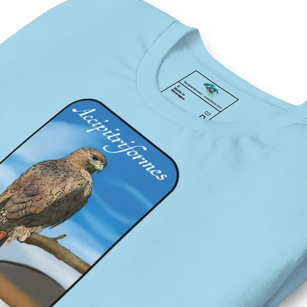 Accipitriformes (Red-Tailed Hawk) - Bella Canvas T-Shirt
