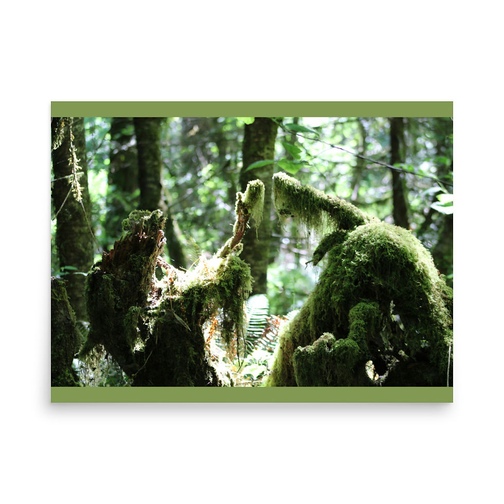 Thumbnail: Oregon Moss - Gloss Photo Print