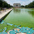 Lincoln Memorial and tourists overlook a green Reflecting Pool with peeling blue paint and warning signs.