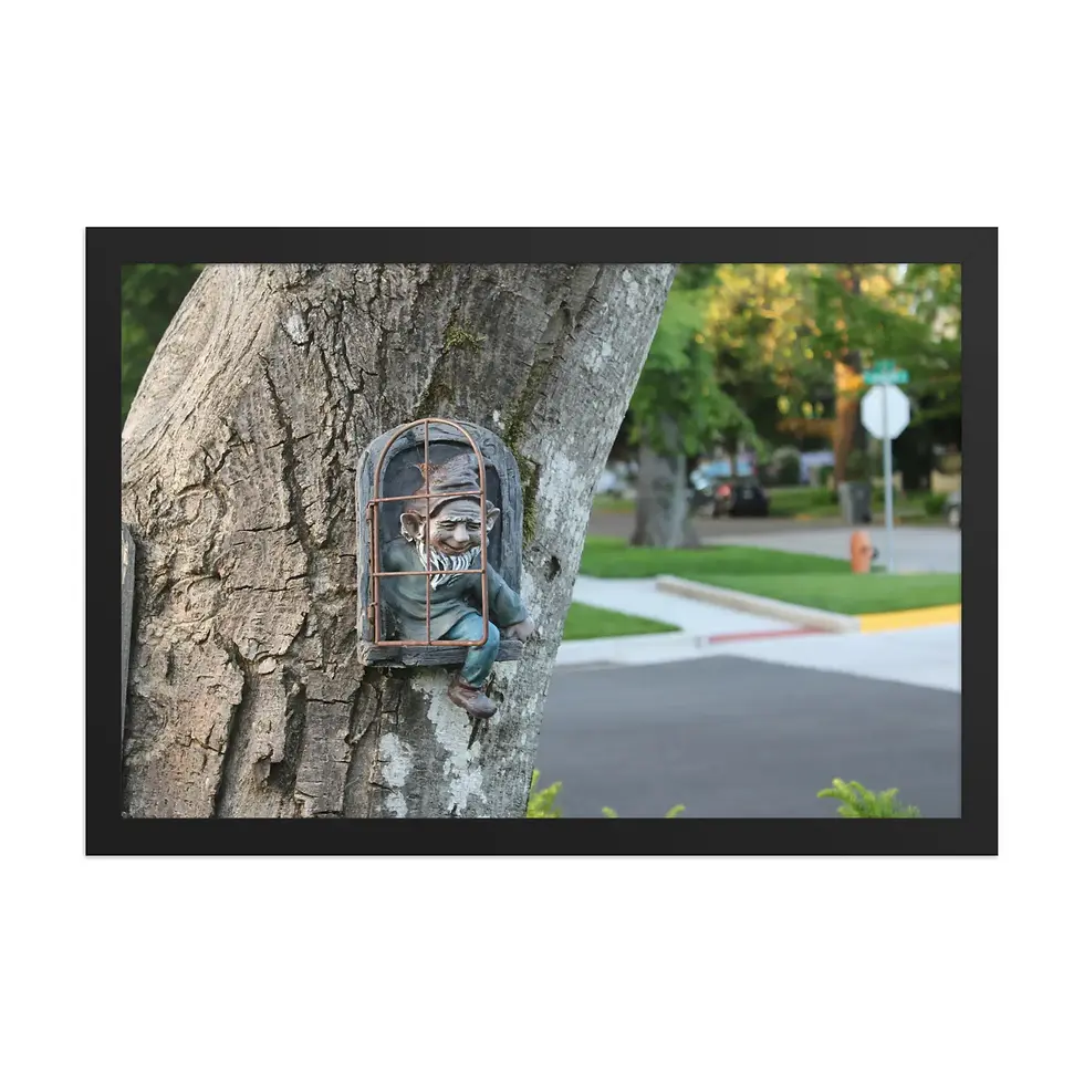 Hidden Gnome - 12" x 18" Framed Photo Paper