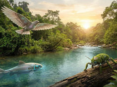 Robotic bird, fish, and bug in lush green jungle near a serene river at sunset. The scene is tranquil with vibrant colors.