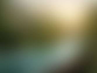 Robotic bird, fish, and bug in lush green jungle near a serene river at sunset. The scene is tranquil with vibrant colors.