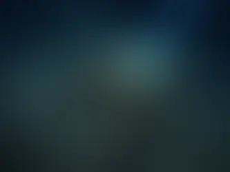 Underwater scene of a rocky seabed with a porous rock in spotlight. White sponges cling to it, surrounded by dark, stirred sediments.