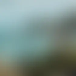 Penguins stand on mossy rocks by a turbulent sea. A large bone rests nearby. A map overlay appears over the ocean, under a cloudy sky.