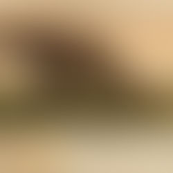 Dinosaurs graze in a grassy field under a hazy sky. Green ferns in foreground. Background features a sepia map and dinosaur bones.