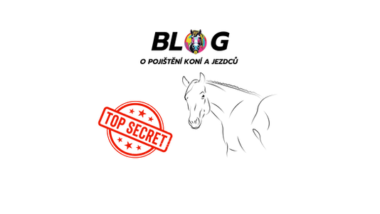 Když vás kůň kopne… a všechno ztichne. Zamyšlení nad koňskými filmy (nejen pro pojištěné) 🐎