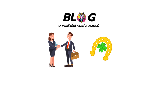 Jak by NEMĚL vypadat zážitek s pojištěním koní a jezdců