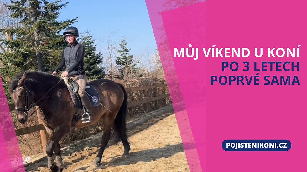 Vlog (pojištění koní) z víkendu u koní