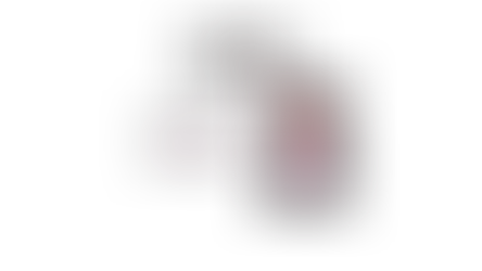 Výstava Kůň 2025 aneb tři dny mezi koňmi, lidmi a příběhy