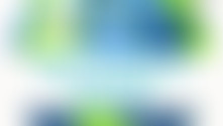 Supporting The Careers of Others, Keeping Families Together