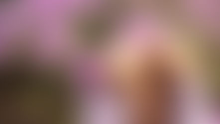 Happy Birthday Ella, power, vision, and love