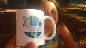 Financial Inventory, income, wife for our family, humor, fun, including young families, breathing, Halloween book, Day of peace 2024