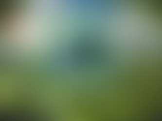 Unlocking Profit Potential: The High-Converting Green Energy Product You Can't Miss!