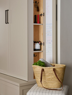 Oak Park Home Renovation | R Titus Designs
