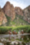 Horseback Riding Near Saguaro Lake and Salt River