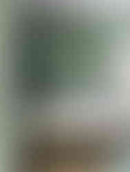 Rachel Cannon Limited Interior Design in Baton Rouge, LA