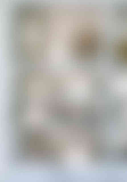 Rachel Cannon Limited Luxury Interior Design Studio