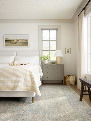 Our Favorite Rugs For Your Home