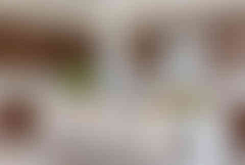 Rachel Cannon Limited Interior Design in Palm Beach, Florida