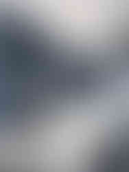 Rachel Cannon Limited Commercial Design in Baton Rouge