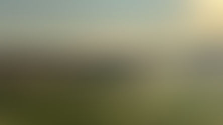 NIETRZEŹWY KOMBAJNISTA SPRAWCĄ KOLIZJI DROGOWEJ