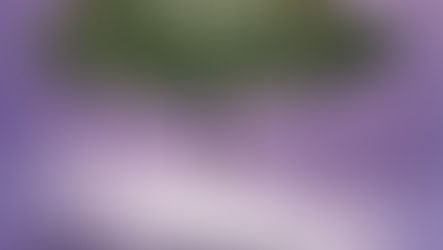 Koncert "Za Gwiazdą"