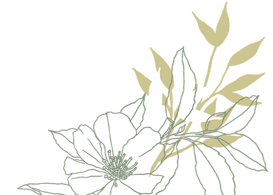 4142554 (2)_edited.png