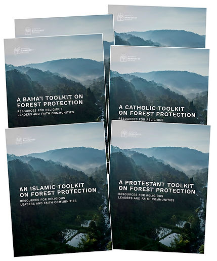IRI page covers-forest restoration.jpg