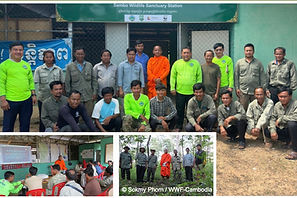 TreeOrdination-WWFCambodia-June2025.jpg