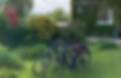 Cheese, Cider & Wine Bike Tours | Somerset Food Trail