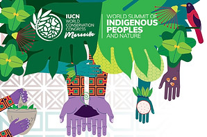 Global Indigenous Agenda cover