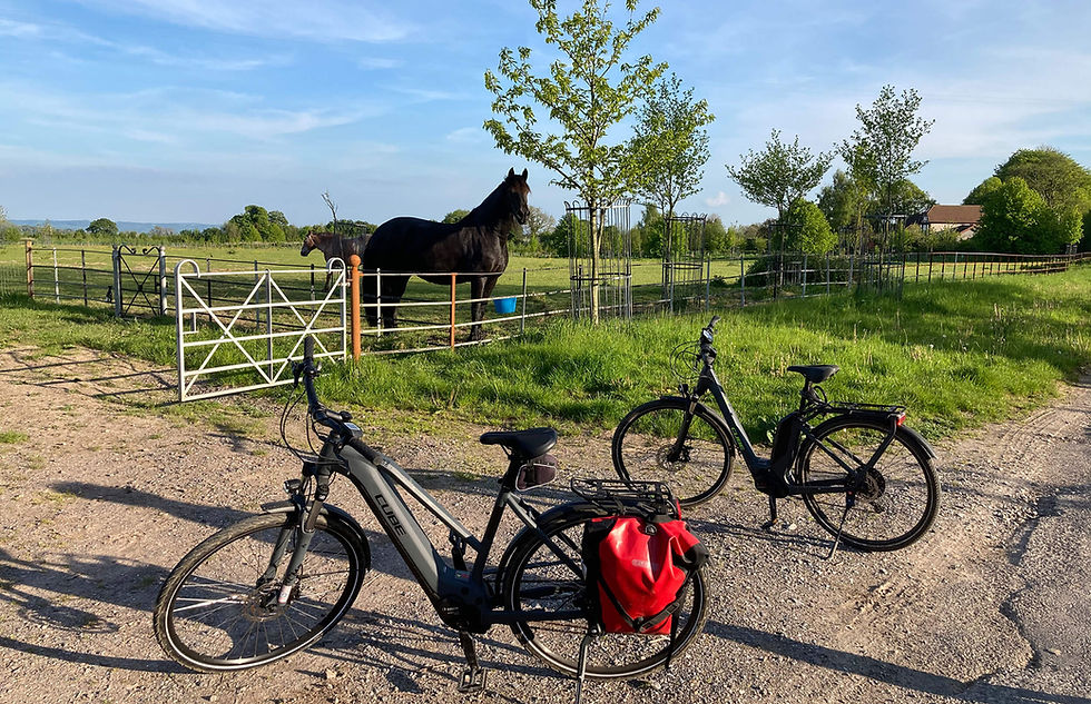 Cheese, Cider & Wine Bike Tours