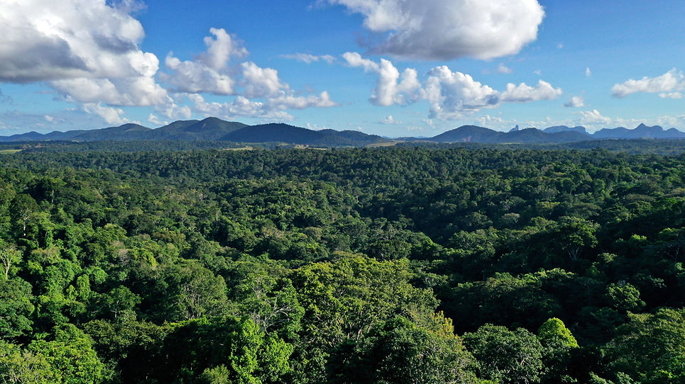 MontePascoalNationalPark-WWF-Brazil-AdrianoGambarini.JPG