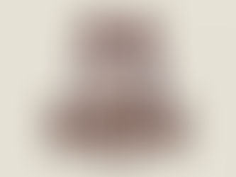 Découvrez nos adorables Pomsky à vendre !