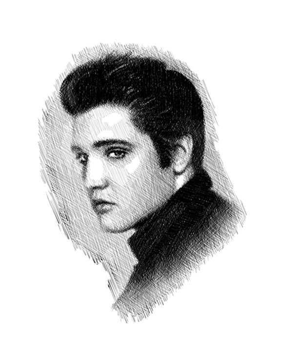#44. Cross-Hatching.Elvis Preslay.16 x 20