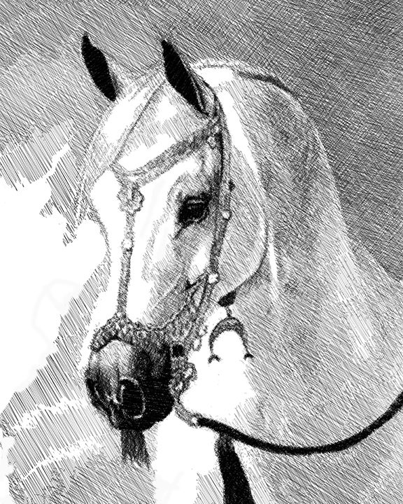 #28.Cross-Hatching.16 x 20