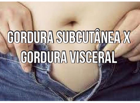 Gordura subcutânea x gordura visceral