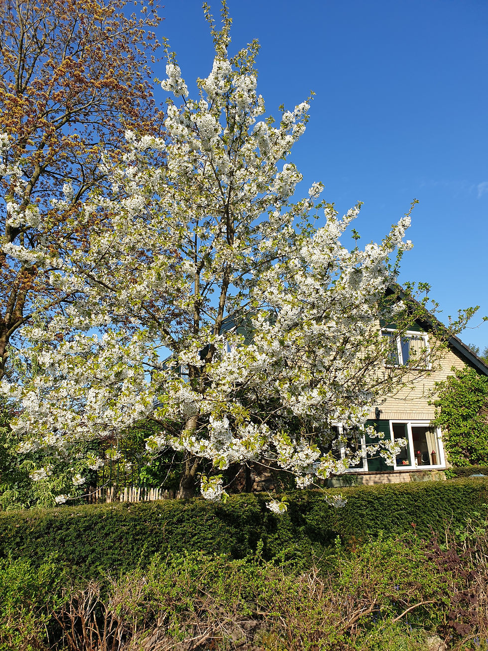 20190419_093406
