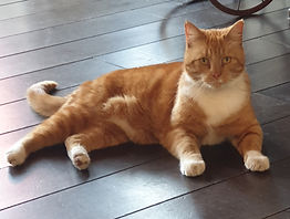 20190524_173456.jpg