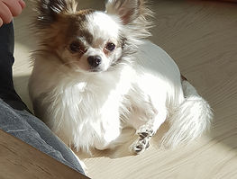 20190209_221342.jpg