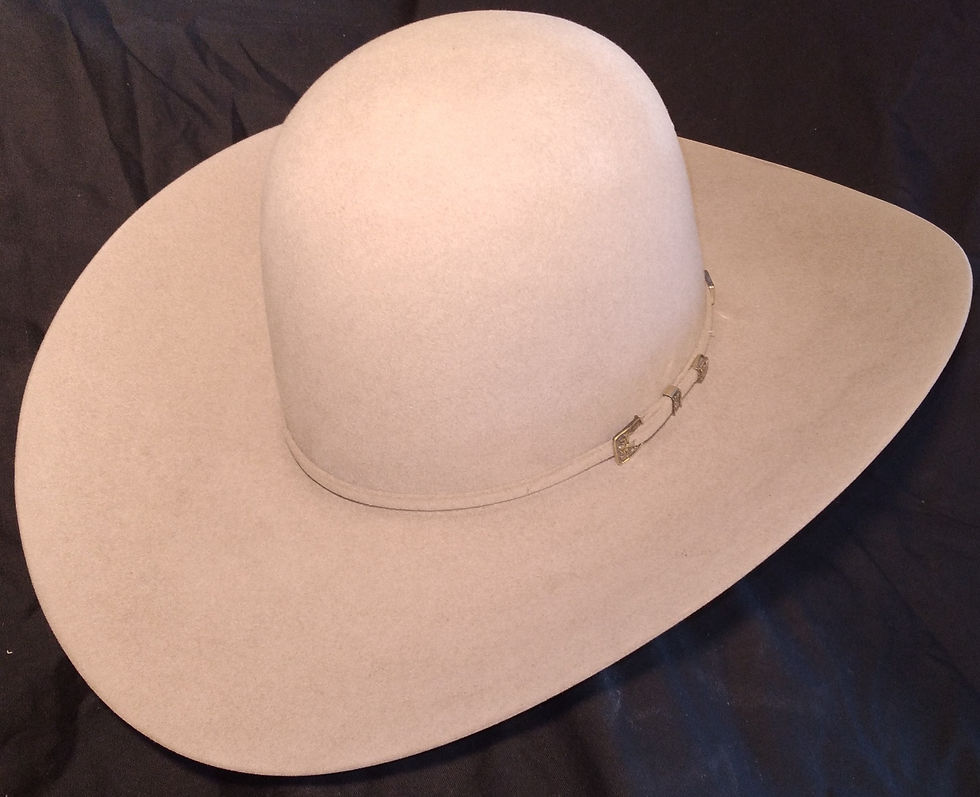 100X NATURAL AMERICAN headsortailshats